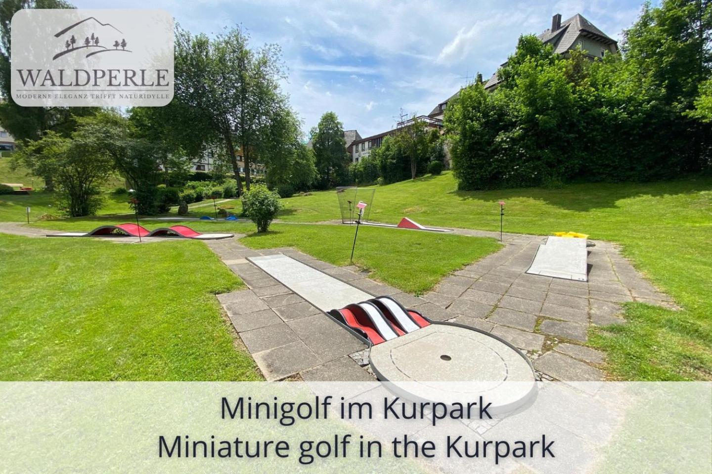 Exklusives 5-Sterne Apartment Waldperle Mit Indoor-Pool, Sauna, Top Lage Und Ausblick In Die Natur, Hunde Willkommen Schonach im Schwarzwald Εξωτερικό φωτογραφία