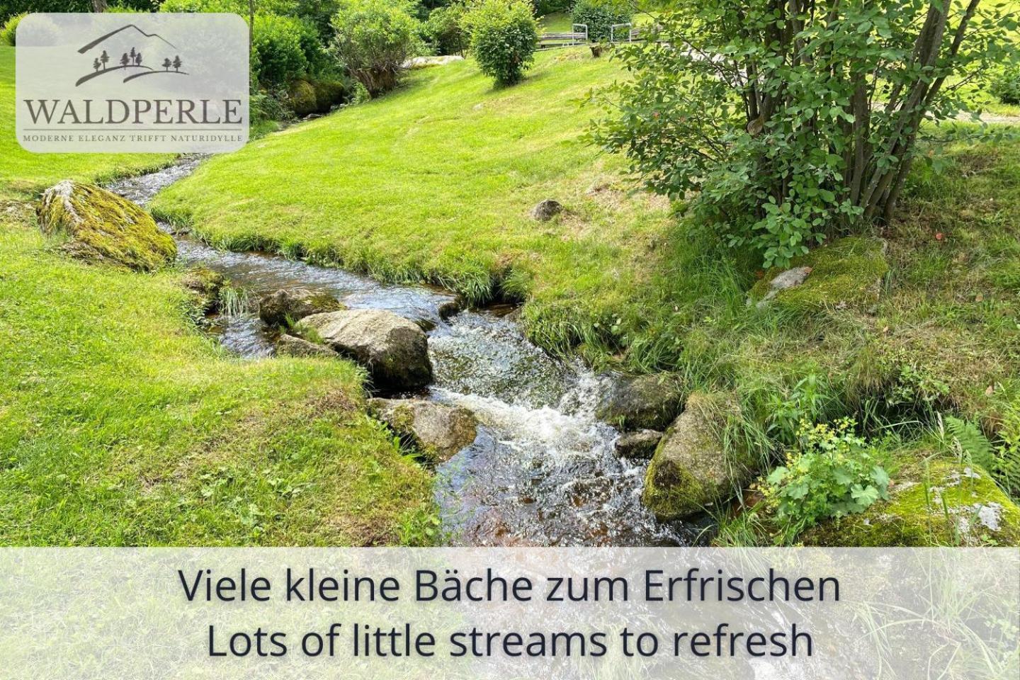 Exklusives 5-Sterne Apartment Waldperle Mit Indoor-Pool, Sauna, Top Lage Und Ausblick In Die Natur, Hunde Willkommen Schonach im Schwarzwald Εξωτερικό φωτογραφία