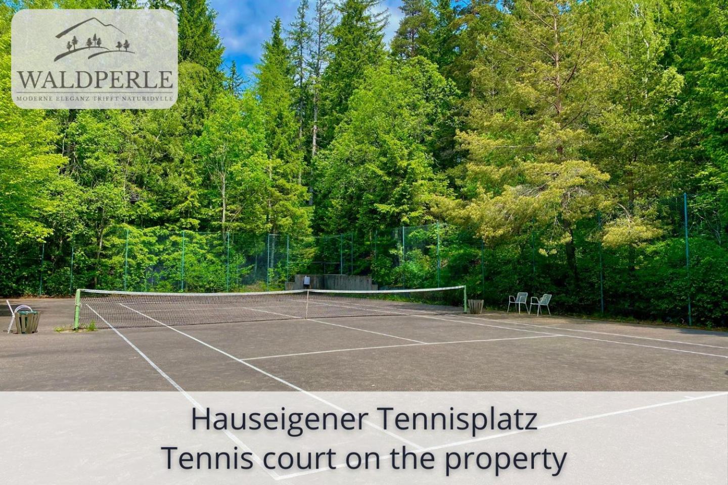 Exklusives 5-Sterne Apartment Waldperle Mit Indoor-Pool, Sauna, Top Lage Und Ausblick In Die Natur, Hunde Willkommen Schonach im Schwarzwald Εξωτερικό φωτογραφία