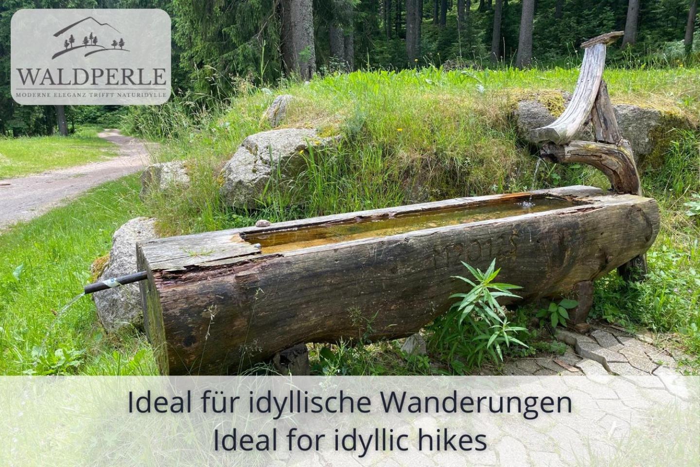 Exklusives 5-Sterne Apartment Waldperle Mit Indoor-Pool, Sauna, Top Lage Und Ausblick In Die Natur, Hunde Willkommen Schonach im Schwarzwald Εξωτερικό φωτογραφία