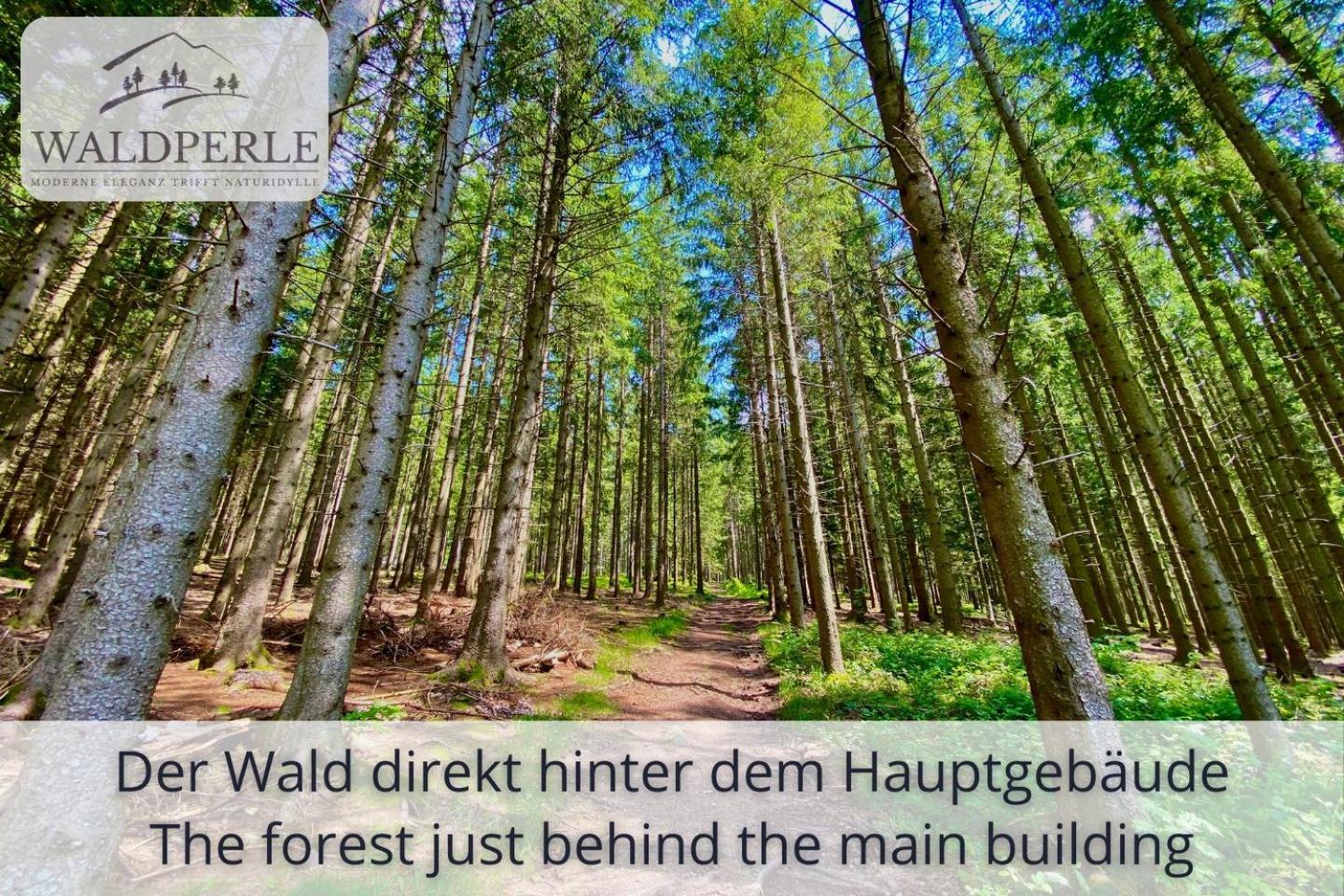Exklusives 5-Sterne Apartment Waldperle Mit Indoor-Pool, Sauna, Top Lage Und Ausblick In Die Natur, Hunde Willkommen Schonach im Schwarzwald Εξωτερικό φωτογραφία