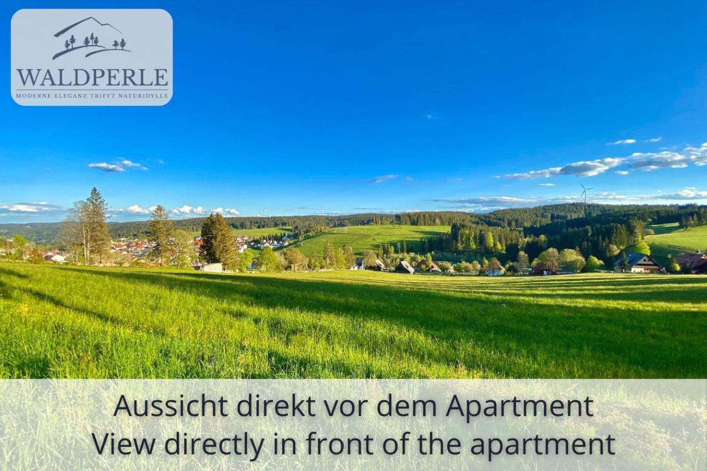 Exklusives 5-Sterne Apartment Waldperle Mit Indoor-Pool, Sauna, Top Lage Und Ausblick In Die Natur, Hunde Willkommen Schonach im Schwarzwald Εξωτερικό φωτογραφία