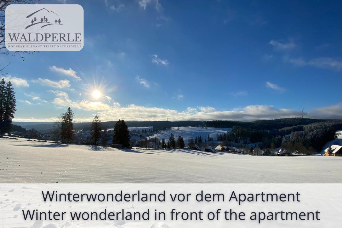 Exklusives 5-Sterne Apartment Waldperle Mit Indoor-Pool, Sauna, Top Lage Und Ausblick In Die Natur, Hunde Willkommen Schonach im Schwarzwald Εξωτερικό φωτογραφία