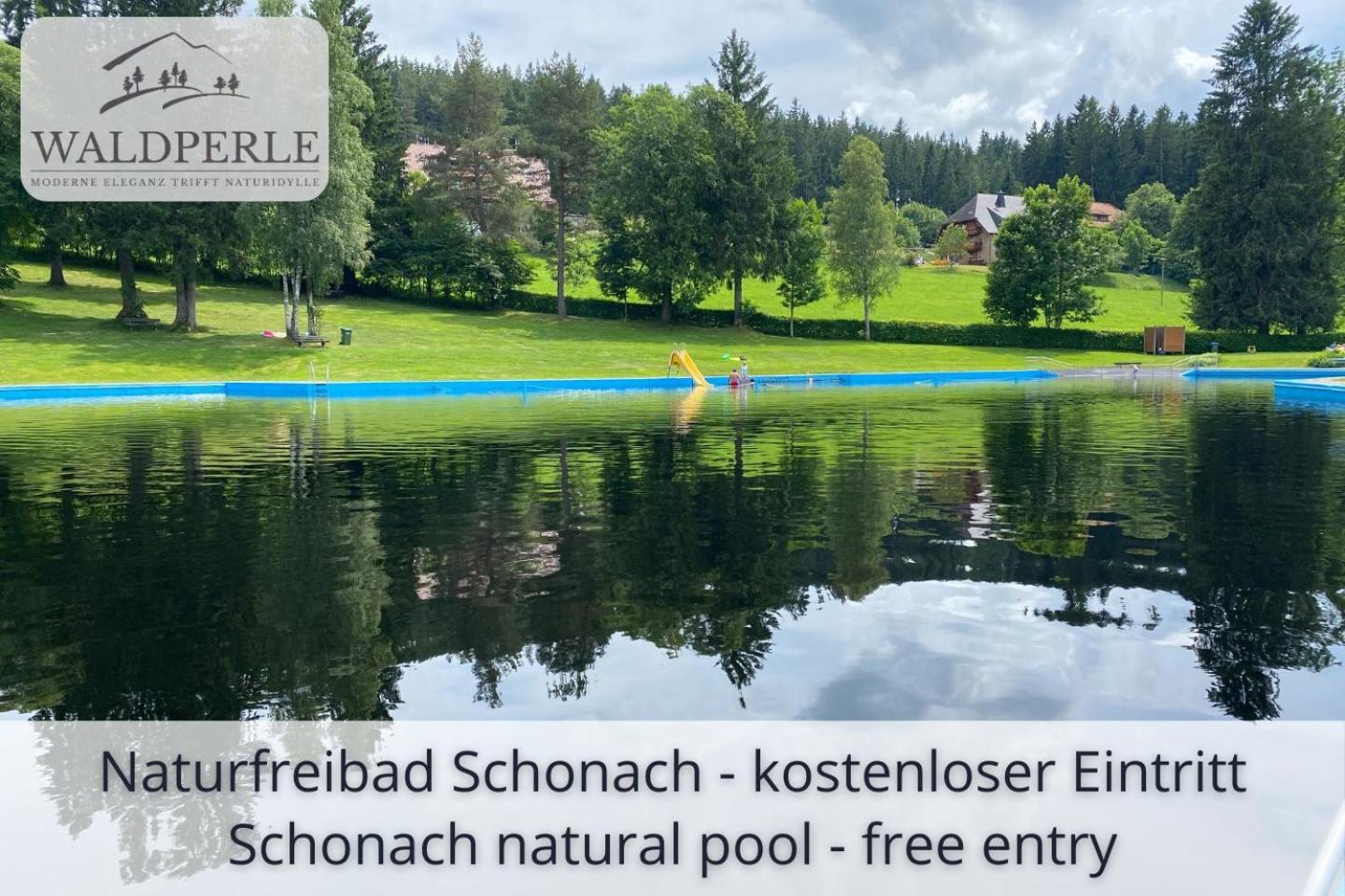 Exklusives 5-Sterne Apartment Waldperle Mit Indoor-Pool, Sauna, Top Lage Und Ausblick In Die Natur, Hunde Willkommen Schonach im Schwarzwald Εξωτερικό φωτογραφία