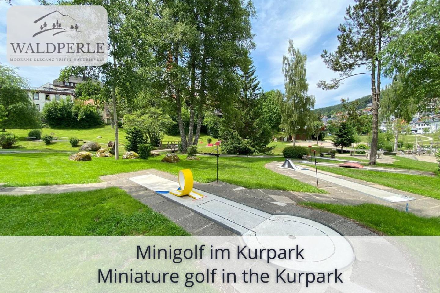 Exklusives 5-Sterne Apartment Waldperle Mit Indoor-Pool, Sauna, Top Lage Und Ausblick In Die Natur, Hunde Willkommen Schonach im Schwarzwald Εξωτερικό φωτογραφία