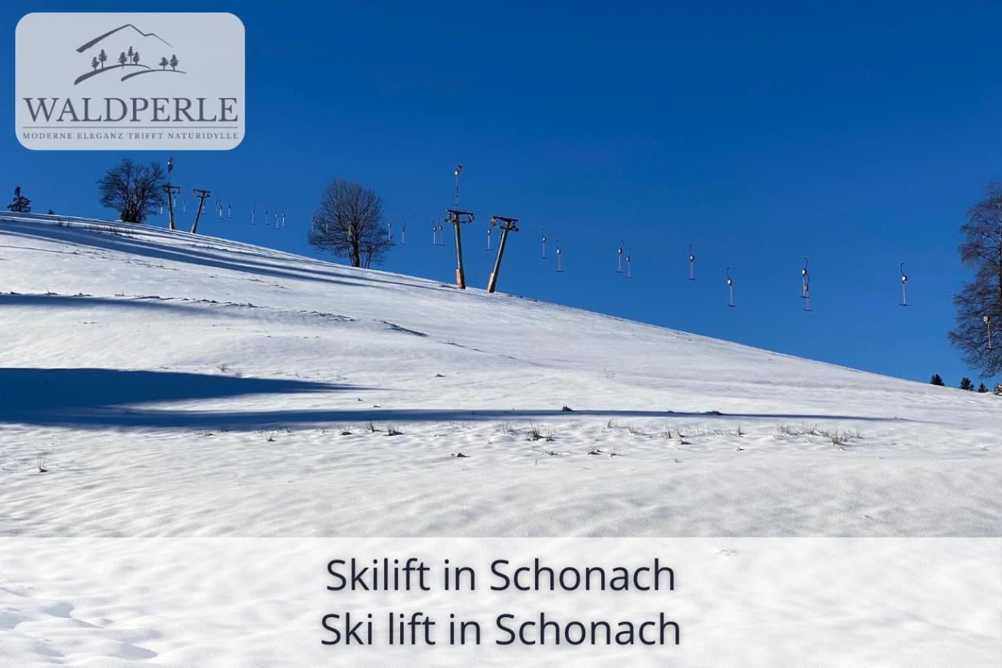 Exklusives 5-Sterne Apartment Waldperle Mit Indoor-Pool, Sauna, Top Lage Und Ausblick In Die Natur, Hunde Willkommen Schonach im Schwarzwald Εξωτερικό φωτογραφία