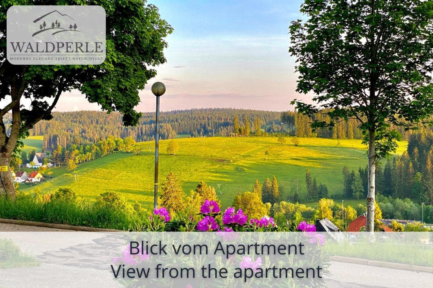Exklusives 5-Sterne Apartment Waldperle Mit Indoor-Pool, Sauna, Top Lage Und Ausblick In Die Natur, Hunde Willkommen Schonach im Schwarzwald Εξωτερικό φωτογραφία