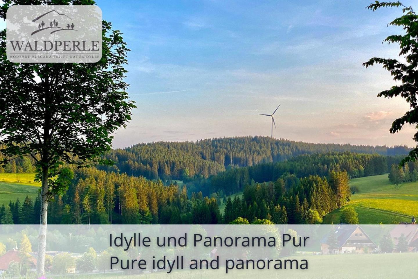 Exklusives 5-Sterne Apartment Waldperle Mit Indoor-Pool, Sauna, Top Lage Und Ausblick In Die Natur, Hunde Willkommen Schonach im Schwarzwald Εξωτερικό φωτογραφία
