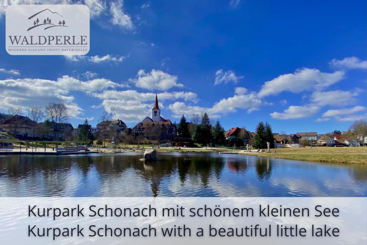 Exklusives 5-Sterne Apartment Waldperle Mit Indoor-Pool, Sauna, Top Lage Und Ausblick In Die Natur, Hunde Willkommen Schonach im Schwarzwald Εξωτερικό φωτογραφία