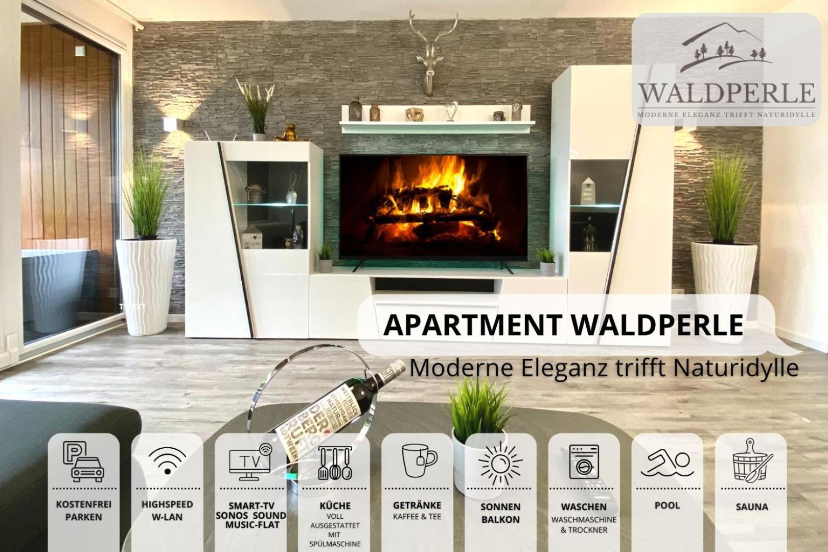 Exklusives 5-Sterne Apartment Waldperle Mit Indoor-Pool, Sauna, Top Lage Und Ausblick In Die Natur, Hunde Willkommen Schonach im Schwarzwald Εξωτερικό φωτογραφία